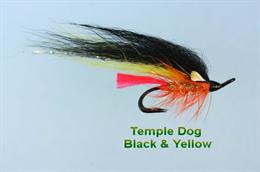 Temple Dog Black and Yellow JC